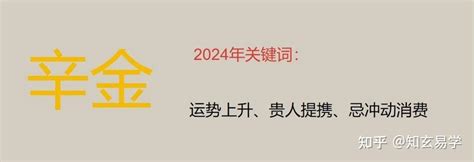 辛金 2024|年运